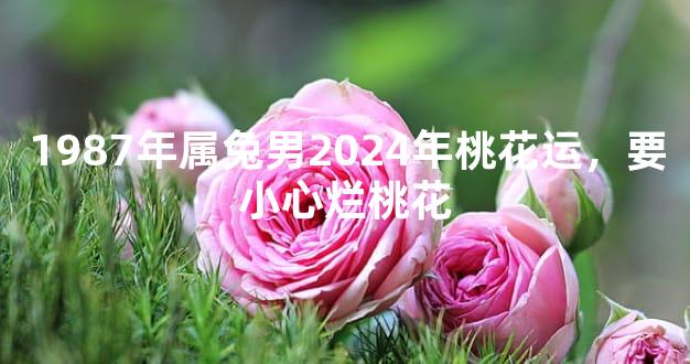 1987年属兔男2024年桃花运，要小心烂桃花