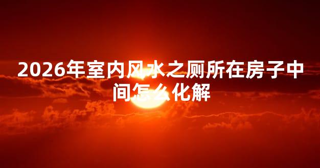 2026年室内风水之厕所在房子中间怎么化解