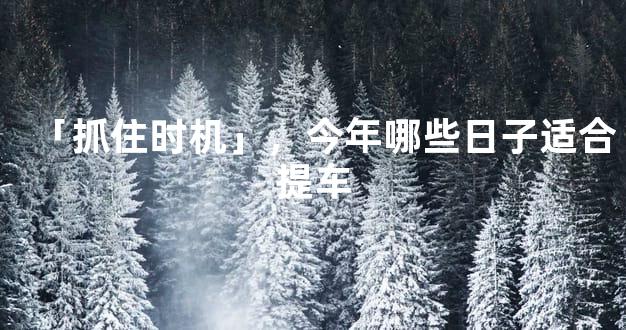 「抓住时机」，今年哪些日子适合提车