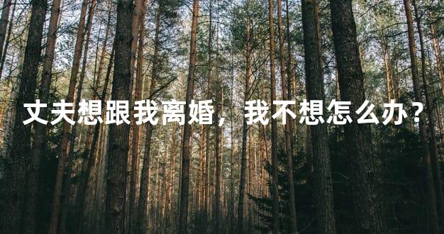 丈夫想跟我离婚，我不想怎么办？