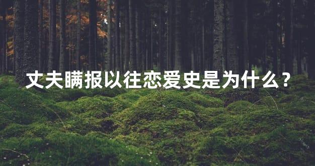 丈夫瞒报以往恋爱史是为什么？