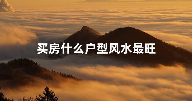 买房什么户型风水最旺