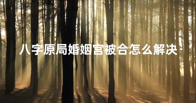 八字原局婚姻宫被合怎么解决