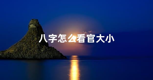 八字怎么看官大小