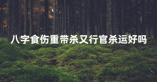 八字食伤重带杀又行官杀运好吗