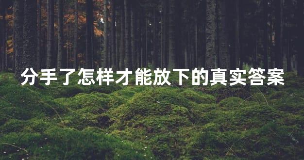分手了怎样才能放下的真实答案