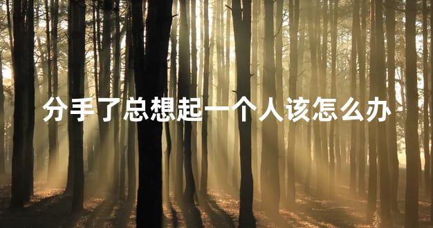 分手了总想起一个人该怎么办