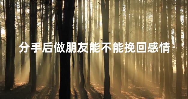 分手后做朋友能不能挽回感情