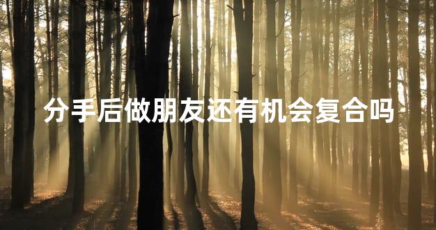 分手后做朋友还有机会复合吗
