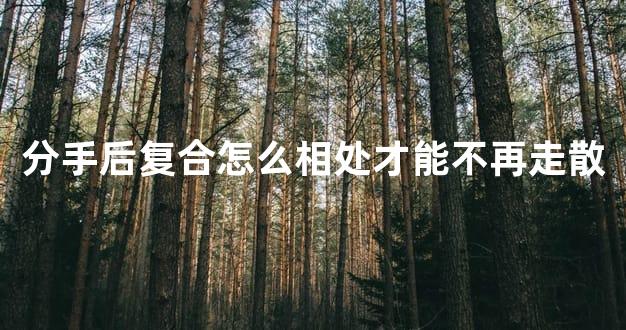 分手后复合怎么相处才能不再走散