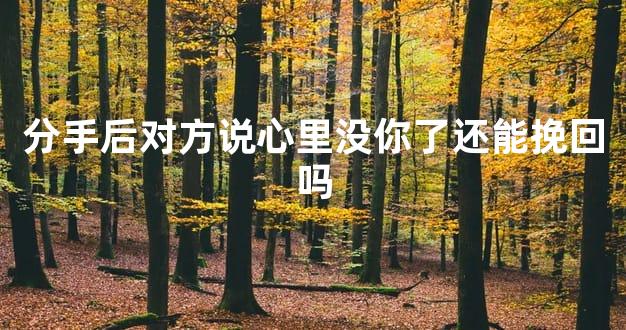 分手后对方说心里没你了还能挽回吗