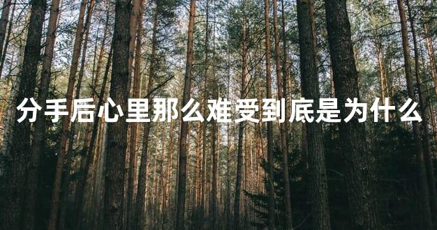 分手后心里那么难受到底是为什么