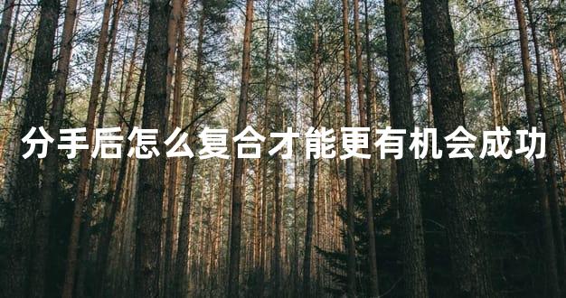 分手后怎么复合才能更有机会成功