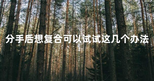 分手后想复合可以试试这几个办法