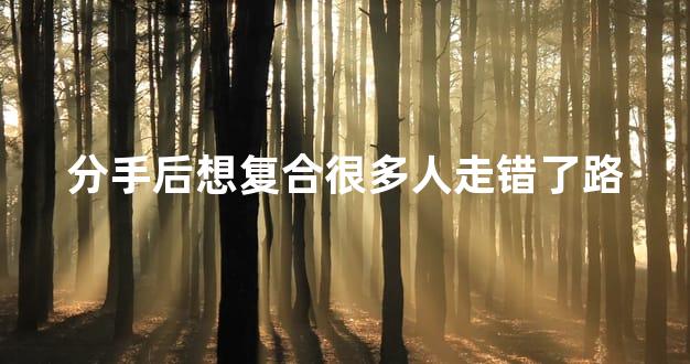 分手后想复合很多人走错了路