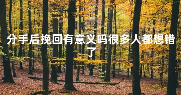 分手后挽回有意义吗很多人都想错了
