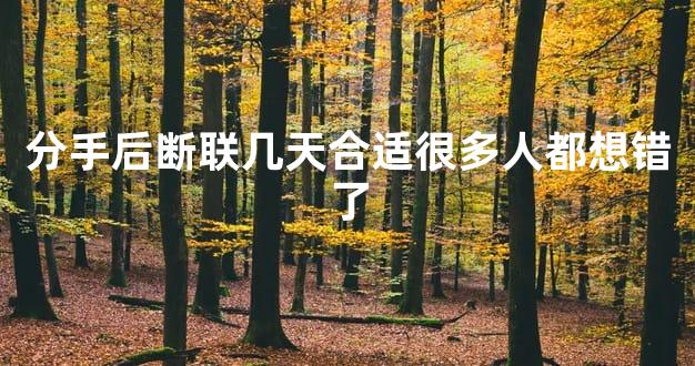 分手后断联几天合适很多人都想错了