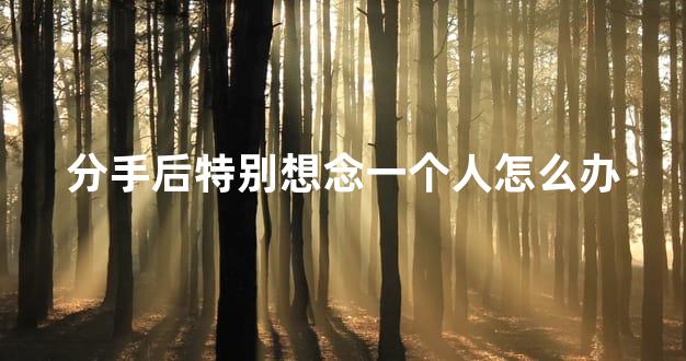 分手后特别想念一个人怎么办
