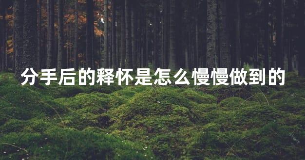 分手后的释怀是怎么慢慢做到的