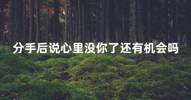 分手后说心里没你了还有机会吗