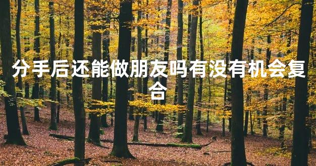 分手后还能做朋友吗有没有机会复合
