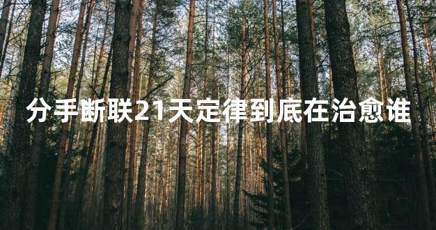 分手断联21天定律到底在治愈谁