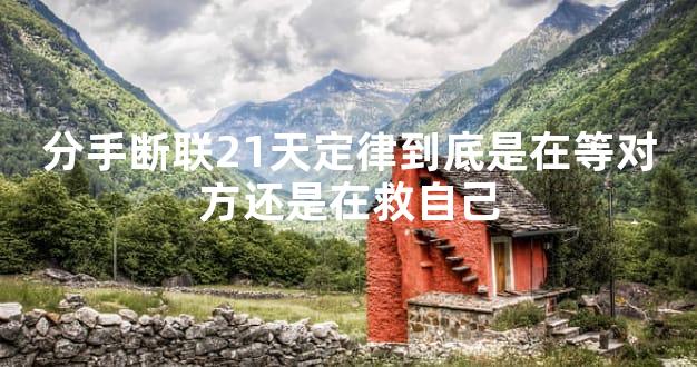 分手断联21天定律到底是在等对方还是在救自己