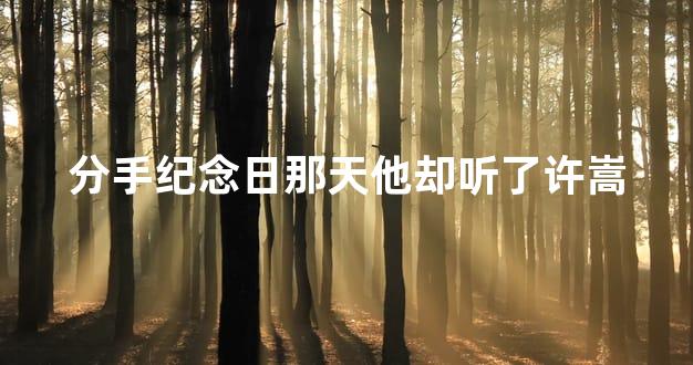 分手纪念日那天他却听了许嵩