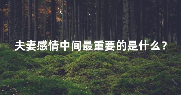 夫妻感情中间最重要的是什么？