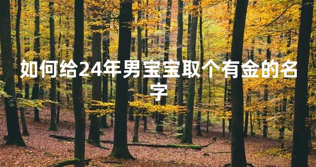 如何给24年男宝宝取个有金的名字