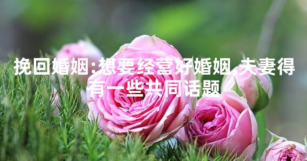 挽回婚姻:想要经营好婚姻,夫妻得有一些共同话题