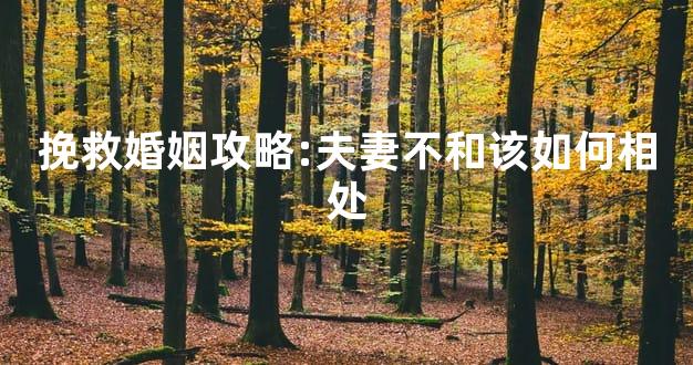 挽救婚姻攻略:夫妻不和该如何相处