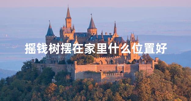 摇钱树摆在家里什么位置好
