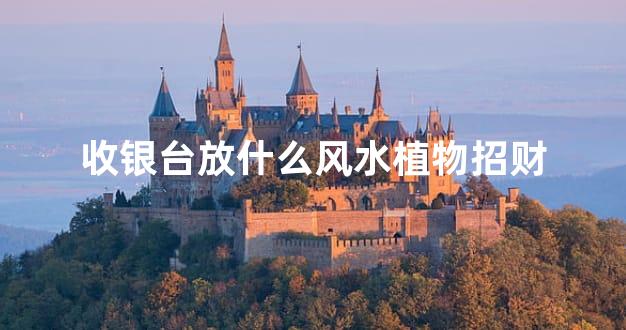 收银台放什么风水植物招财