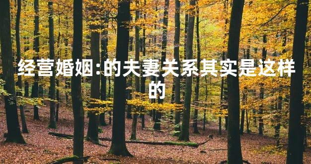 经营婚姻:的夫妻关系其实是这样的