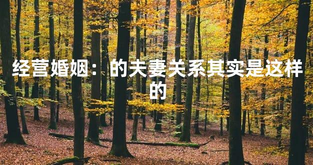 经营婚姻：的夫妻关系其实是这样的