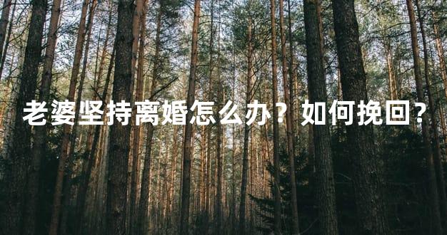 老婆坚持离婚怎么办？如何挽回？