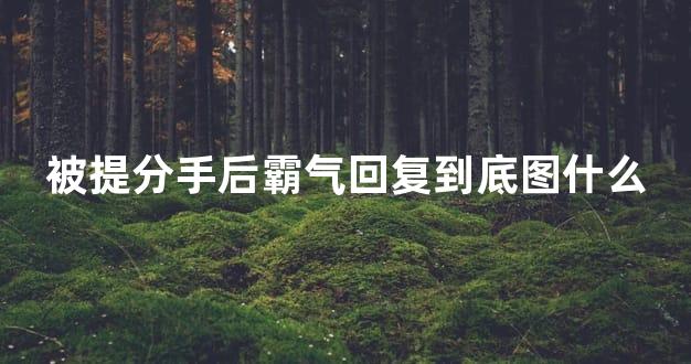 被提分手后霸气回复到底图什么