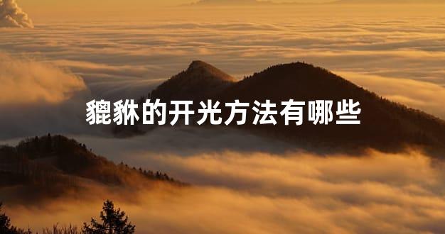 貔貅的开光方法有哪些