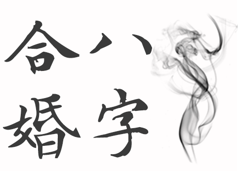 婚姻八字合婚主要看什么,八字合婚注意什么
