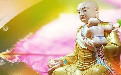 堕胎后怎么超度婴灵 根虎需求和偏好 选择超度方