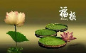 堕胎超度是道教好还是佛教好 立场不同 观点不同