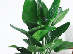 10-1ZG61F3050-L.png