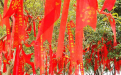<b>我竟然花一百块成功做了和合术</b>