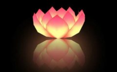 <b>打掉的孩子又来投胎了 这是因为父母福报大 要好</b>