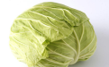 <b>这些常见的食物竟然是防癌小能手</b>