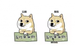 容易成为单身狗的八字特点 怪不得2021年了你还没有脱单