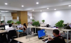 办公室讲究哪些布局 重要的不是奢华 合适自己的才重要