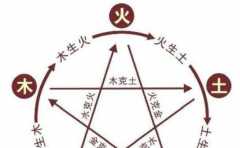 木命凶吉 因季节而不同 属木的人一定要知道这几点