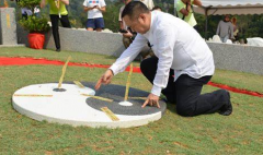 种生基的作用是什么 为什么要种生基